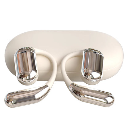 Real-Time Translation Earphone 3-in-1 AI Translator